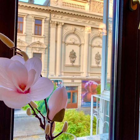 Chira Chiralina Classic Apartment Brăila エクステリア 写真